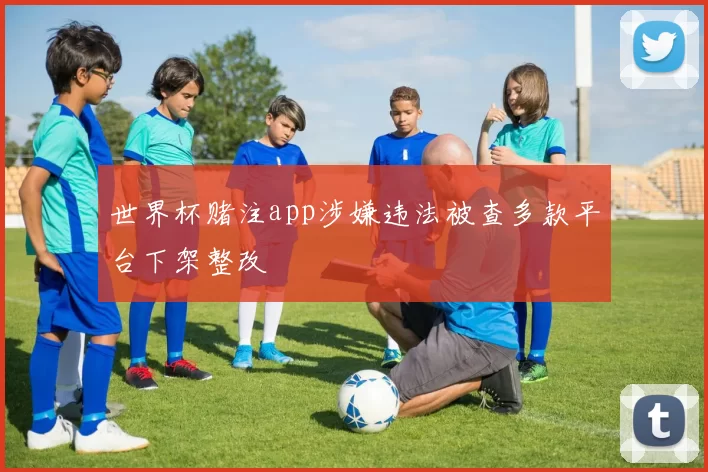 世界杯赌注app涉嫌违法被查多款平台下架整改